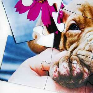 Puzzle 12 XXL  - €  12.99